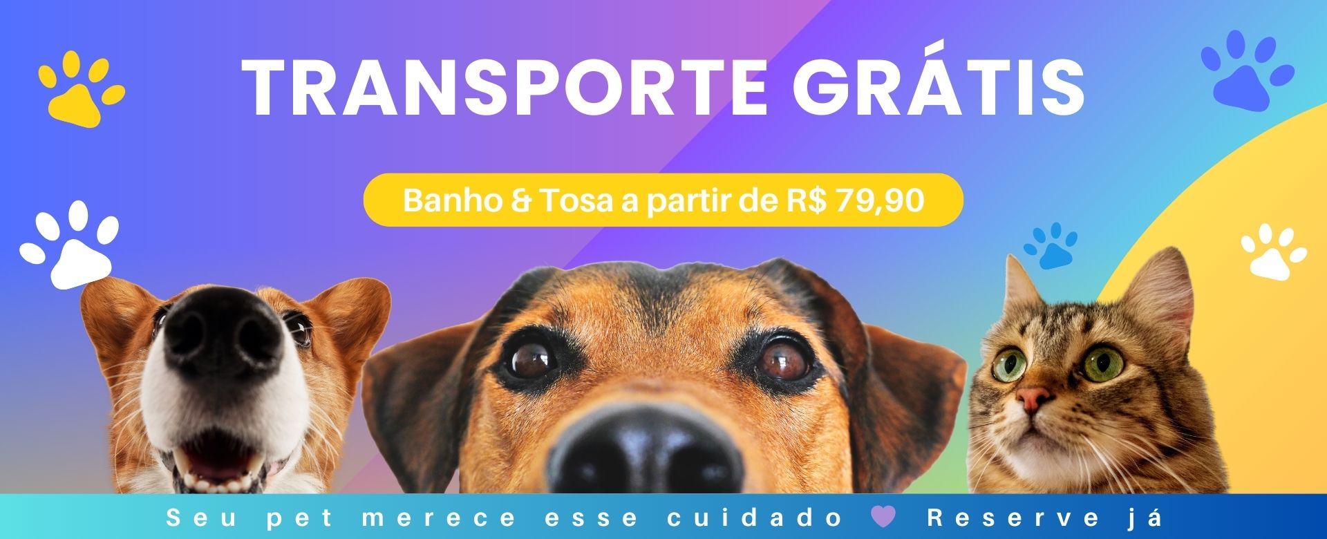 Banho & Tosa Premium
